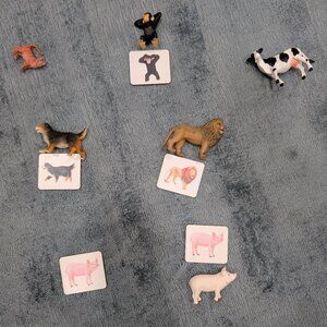 Lovevery Animal Match Pieces from The Companion Play Kit